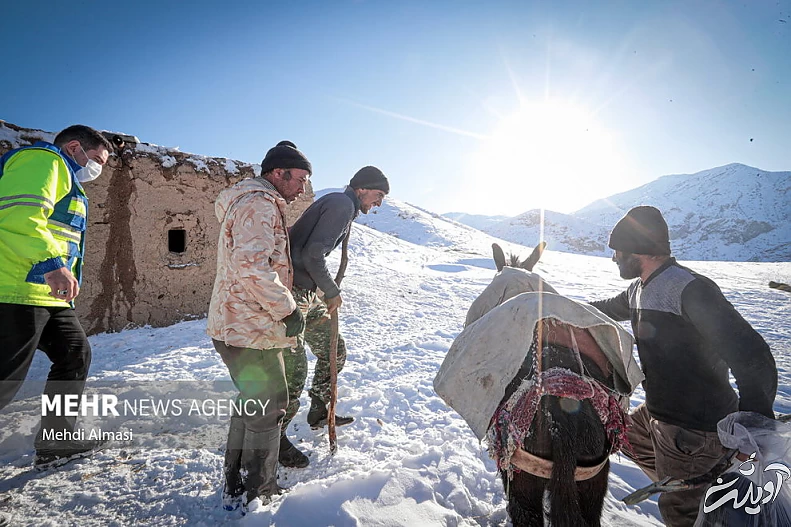(تصاویر) عملیات نجات چوپانان از دل کوه‌های برفی زنجان